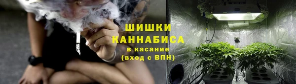амф Белокуриха